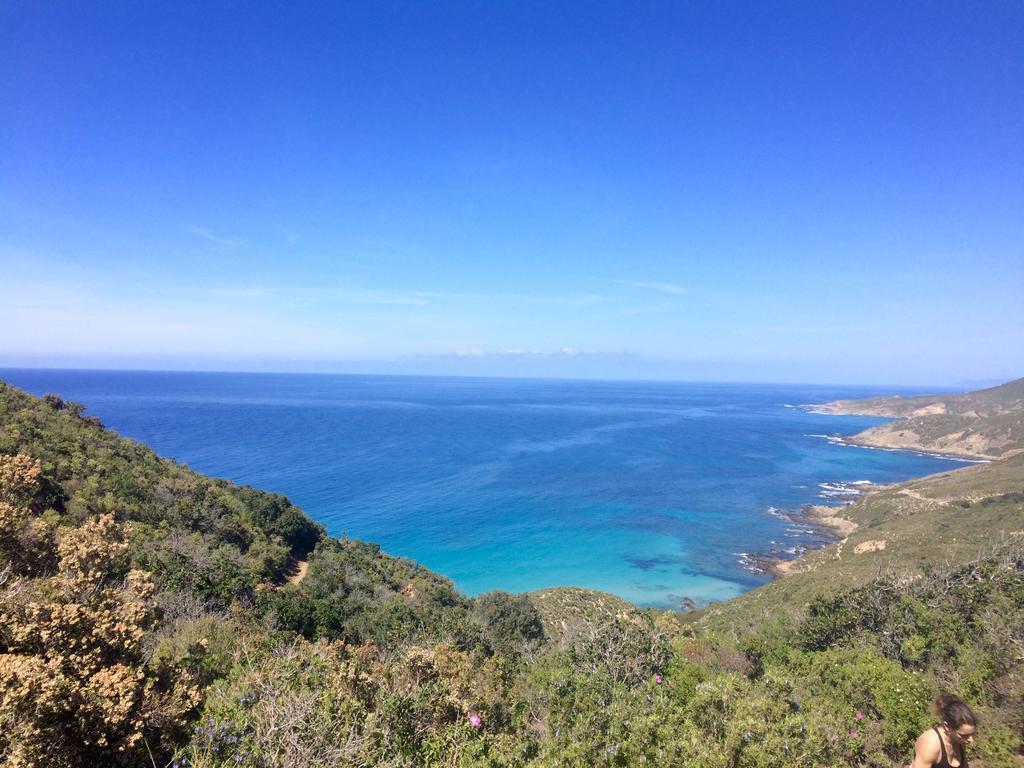 Calvi Appart Hotel Bagian luar foto