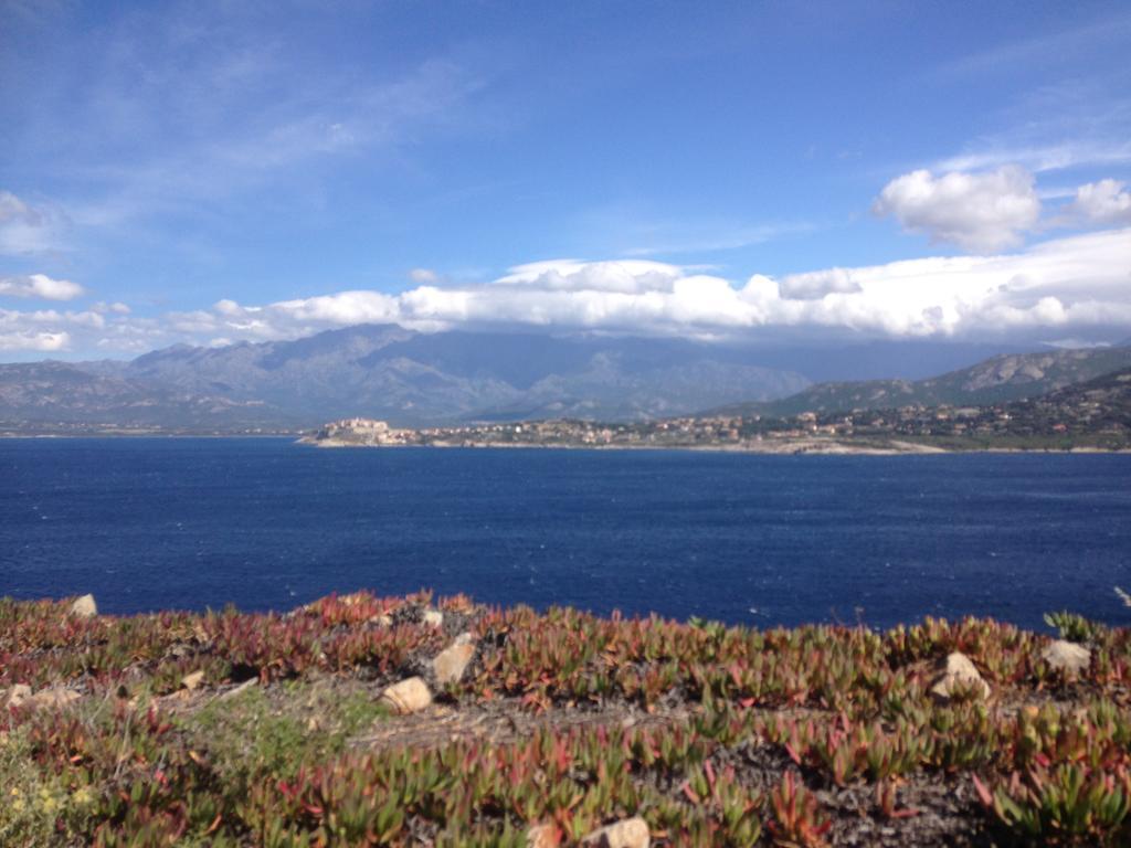 Calvi Appart Hotel Bagian luar foto