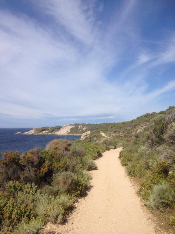 Calvi Appart Hotel Bagian luar foto